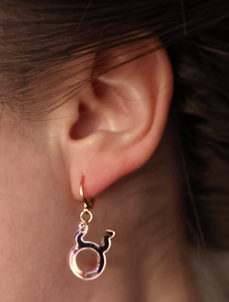 ROSE GOLD ASTROLOGY EARRINGS